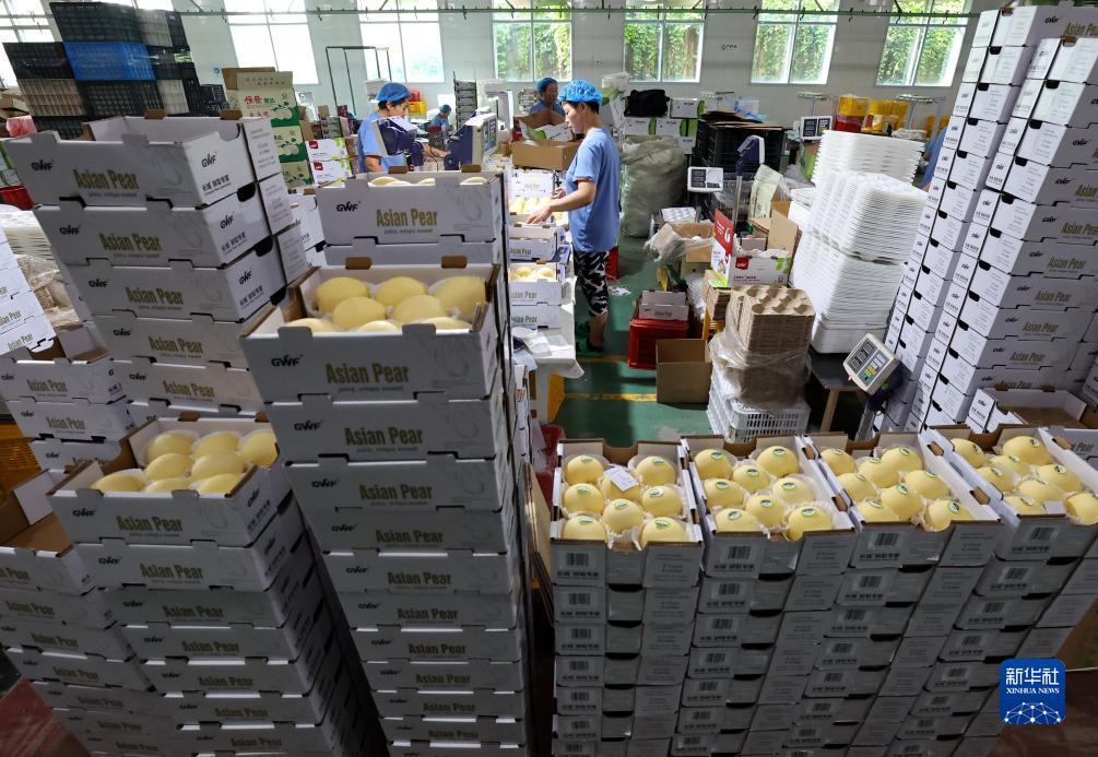 宝运莱游戏官网